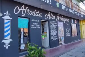 Afrodita Alta Peluqueria