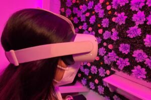 𝗔𝗹𝗮𝗰𝗶𝗮𝗱𝗼 𝗽𝗲𝗿𝗺𝗮𝗻𝗲𝗻𝘁𝗲 Hallyu ㅎ