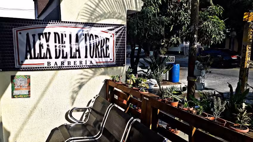 ALEX DE LA TORRE BARBER&Iacute;A