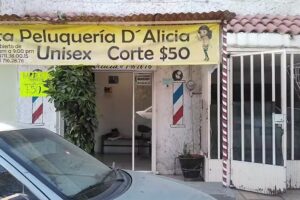 Alta peluquer&iacute;a de Alicia