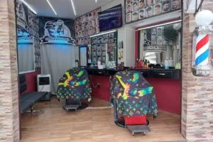 𝓐𝓵𝓽𝓪 𝓹𝓮𝓵𝓾𝓺𝓾𝓮𝓻í𝓪 𝔂 𝓫𝓪𝓻𝓫𝓮𝓻𝓲𝓪 (𝕷𝖆 𝖈𝖆𝖘𝖆 𝖉𝖊𝖑 𝖋𝖑𝖔𝖜)