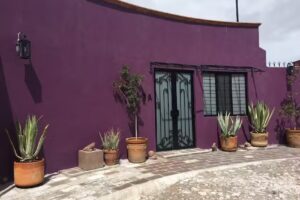 Andre Pascal And Company