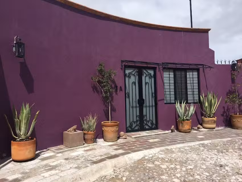 Andre Pascal And Company