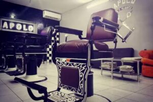 Apolo Alta Peluqueria