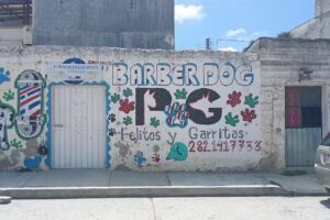Barber Dog P&G (pelitos y garritas)