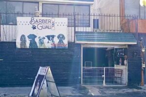 Barber Guau