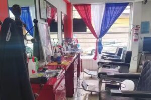 Barber Shop Gorilla Mix