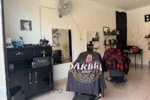 BARBER SHOP 💈LMP💈