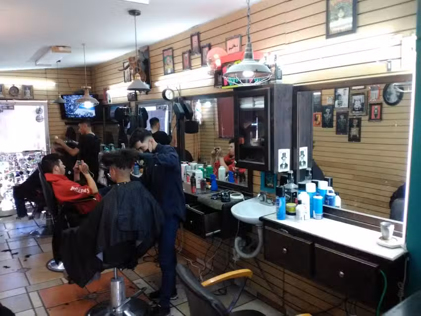 Barber&iacute;a 501