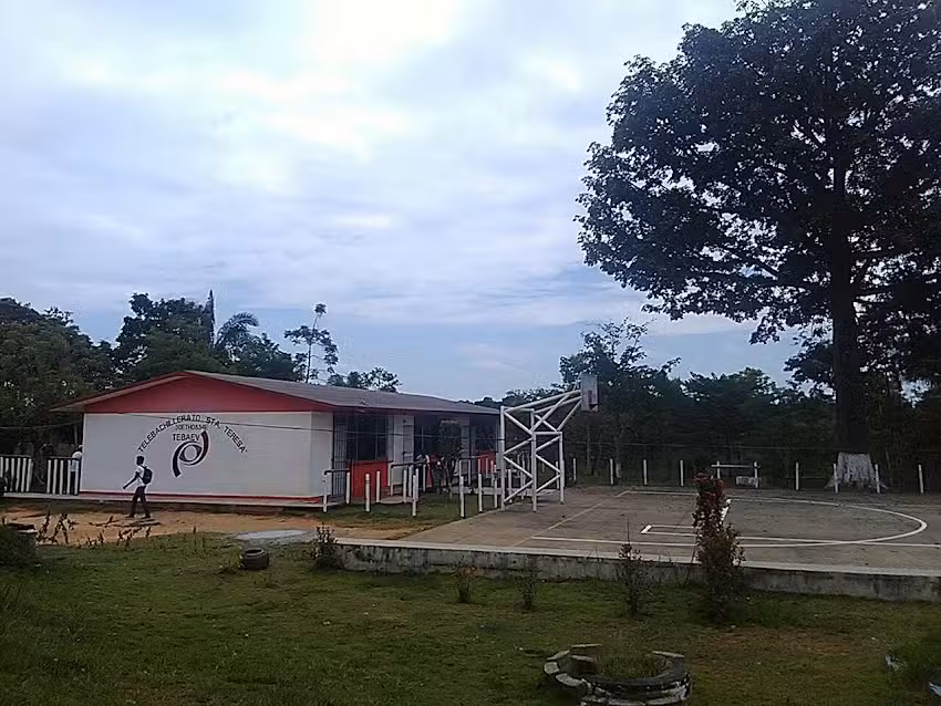 barber&iacute;a Alex