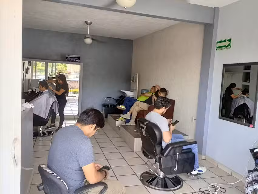 Barber&iacute;a Apolo