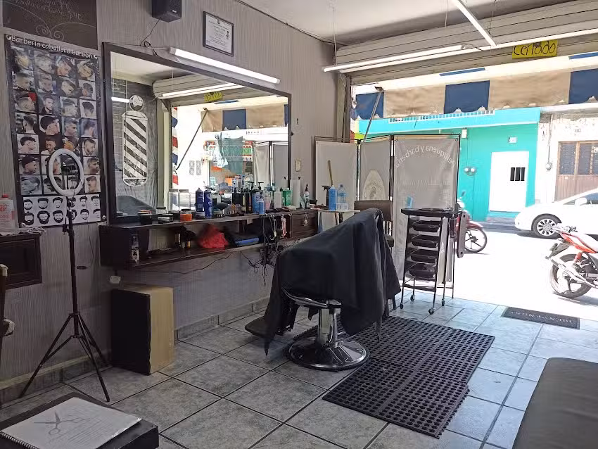 Barber&iacute;a caballero barb&oacute;n