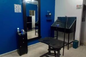 Barber&iacute;a Canina y felina Snibby&rsquo;s Shower