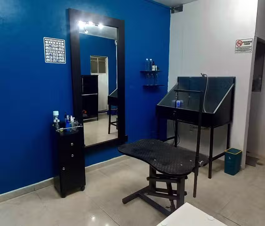 Barber&iacute;a Canina y felina Snibby&rsquo;s Shower