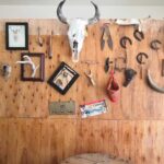 Barberia D&rsquo;gilbert