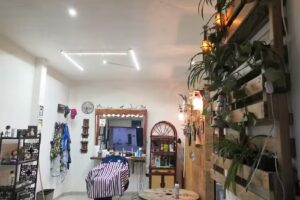 Barberia D’Gilbert