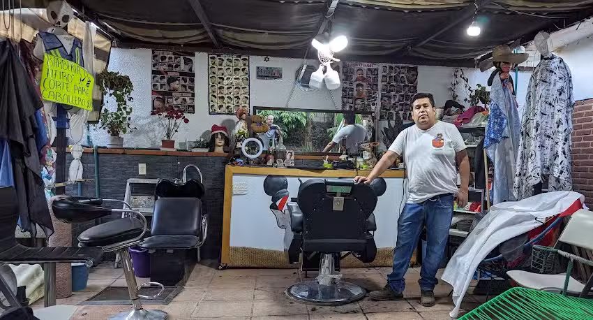 Barber&iacute;a el fifiro