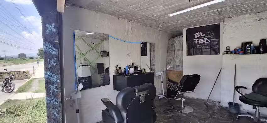 BARBERIA EL TED