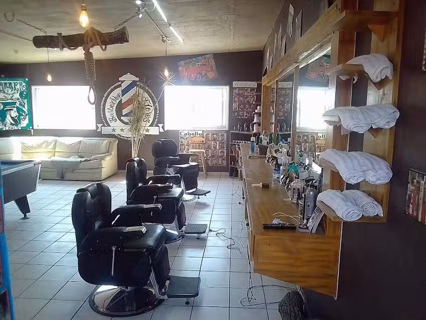 Barber&iacute;a Flores