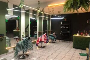 Barbería (Green barber )