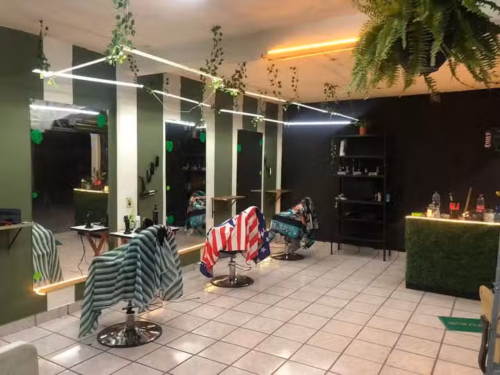 Barber&iacute;a (Green barber )
