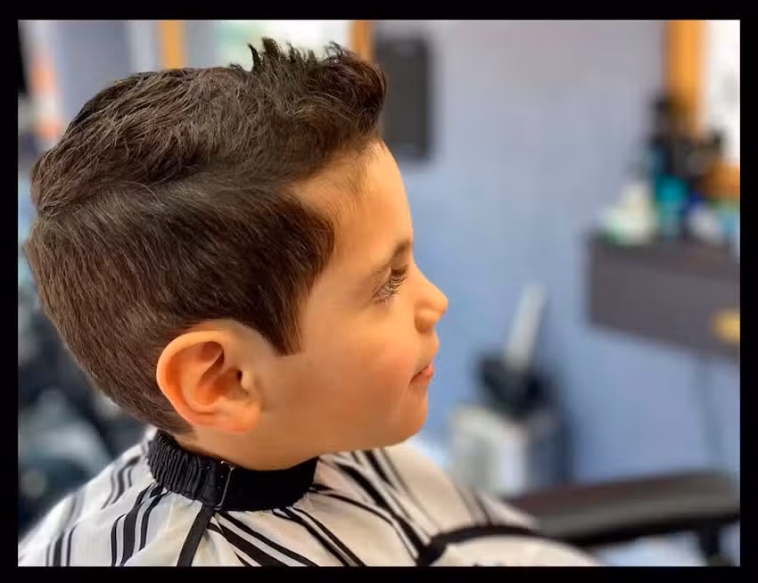 Barberia La Melena del Le&oacute;n