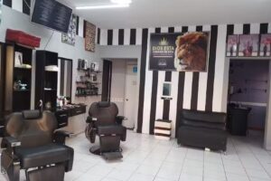 Barberia leon de juda