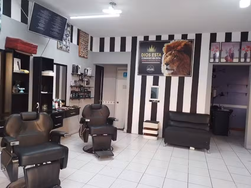 Barberia leon de juda