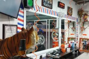 Barberia Nueva Imagen