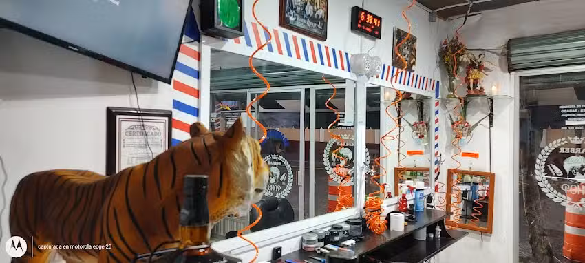 Barberia Nueva Imagen