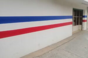 Barber&iacute;a oveja negra