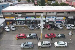 Barberia Rio Grande Los Pinos