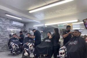 Barber&iacute;a Silvia