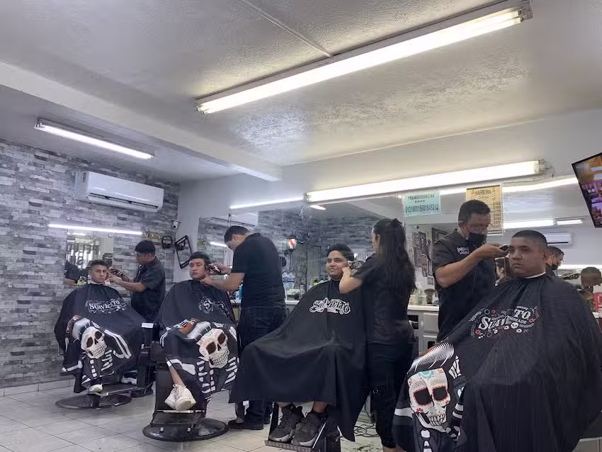 Barber&iacute;a Silvia