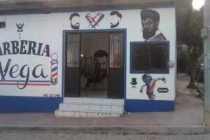BARBER&Iacute;A Vega