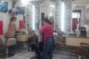 BARBER&Iacute;A Y PELUQUERIA&hellip; D,KLARA