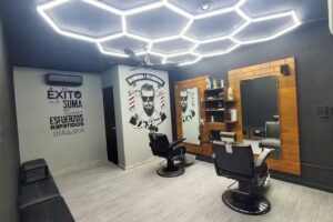 Barber&iacute;a Y Peluquer&iacute;a De Pap&aacute;