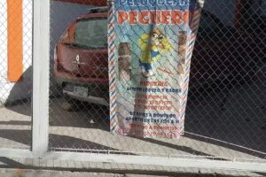 Barberia y Peluquer&iacute;a &ldquo;PEGUERO&rdquo;