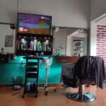 BARBERIA ZEUS