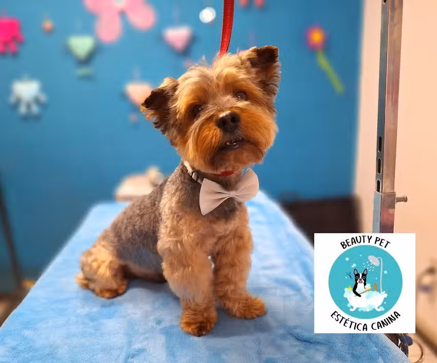 BEAUTY PET Est&eacute;tica Canina