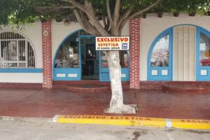 Blanca Nieves Est&eacute;tica