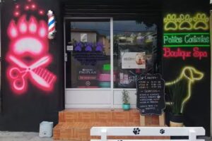 Boutique & SPA Patitas Contentas