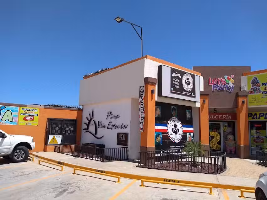 Castor La Barber&iacute;a 1507