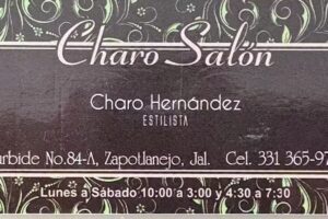 Charo Sal&oacute;n