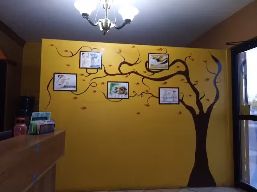 Cl&iacute;nica de belleza y salud Emel