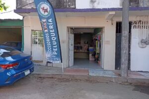 Colima Guau est&eacute;tica canina