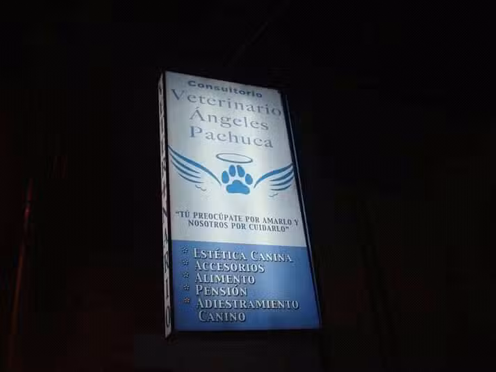 Consultorio Veterinario &Aacute;ngeles Pachuca