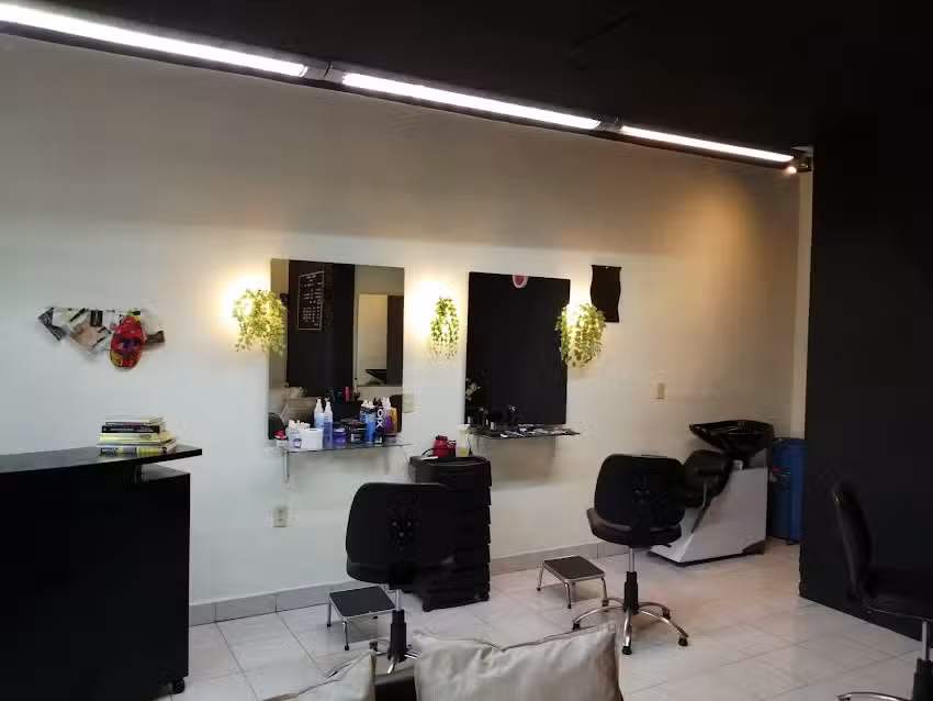 Corte y Color