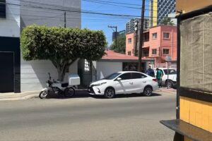 Crazy Lice Gabilondo- Cl&iacute;nica de Piojos Tijuana