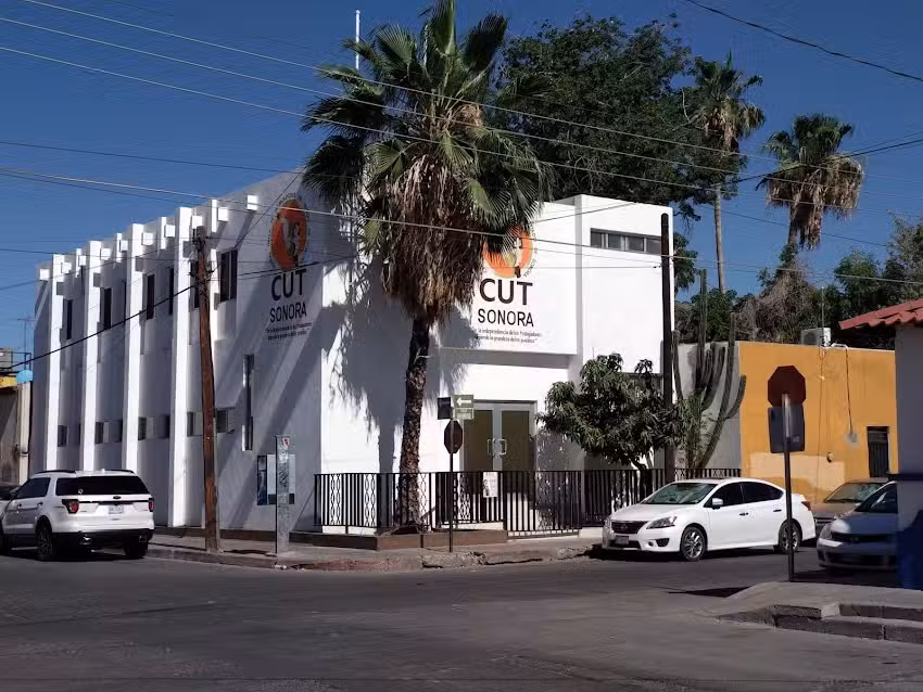 Cut Sonora